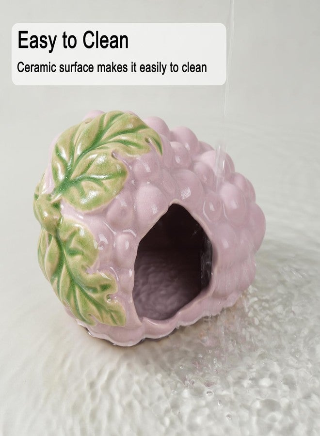 Deapeey Ceramic Hamster Hideout,Grape Dwarf Hamster House,Guinea Pig Habitat Decor, Hideaway House for Gerbil, Cool Bed for All Season - Image 4